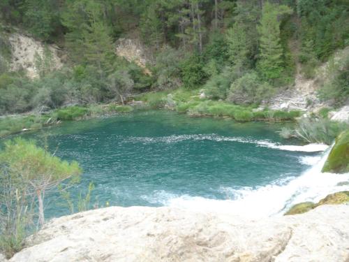 a river with rapids in the middle of a forest at El Llano de los Conejos Serranía de Cuenca in Cañamares