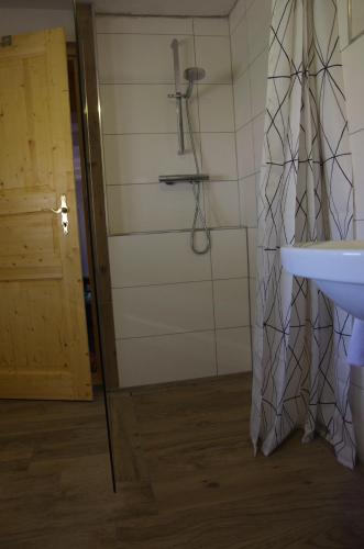 ein Bad mit einer Dusche und einem Waschbecken in der Unterkunft Alte Bäckerei in Monschau