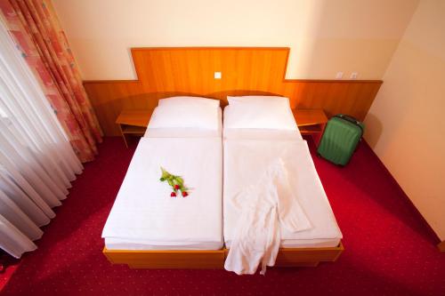 Una cama o camas en una habitación de Terme Topolsica - Hotel Vesna