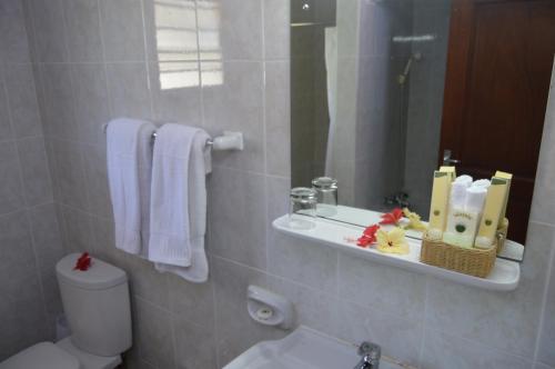 La salle de bains est pourvue de toilettes, d'un lavabo et d'un miroir. dans l'établissement Coco D'or Hotel Seychelles, à Beau Vallon
