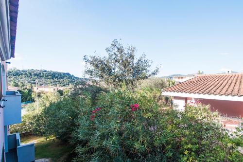 a large bush with pink flowers in a yard at Albergo Residenziale Gli Ontani in Cala Liberotto