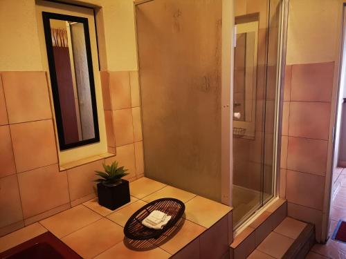 a bathroom with a walk in shower and a mirror at De Oude Herberg in Centurion