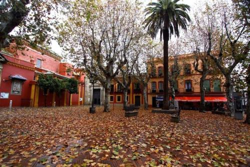 Panther Home Museo II