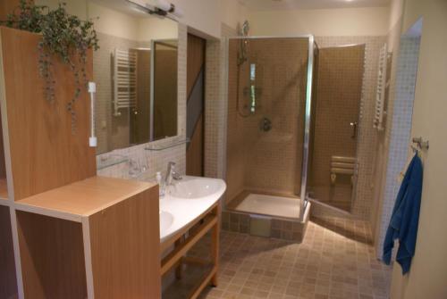 a bathroom with a sink and a shower and a toilet at Nowe Grochale 12 B in Leoncin