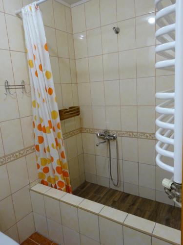ein Bad mit Dusche und Duschvorhang in der Unterkunft Біля лісу Апартименти з двома спальнями in Slawske