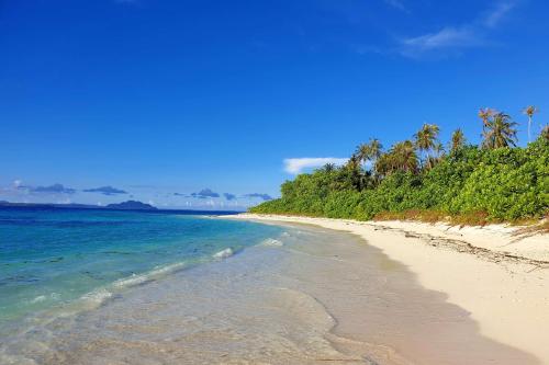 a sandy beach with the ocean and palm trees at Ira Bungalows Pulau Banyak in Alaban