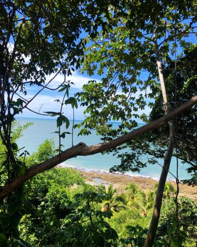a view of a beach through the branches of trees at Hotel Casablanca in Pipa