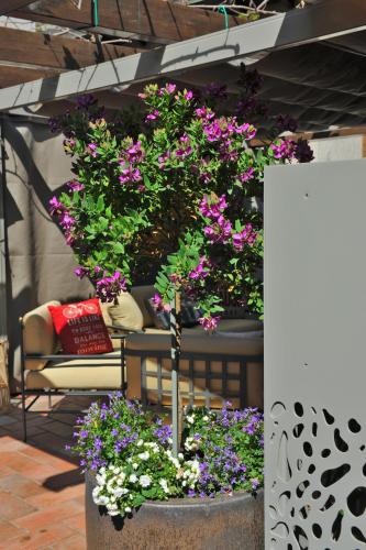 Foto Bella Vacanza Limone 4