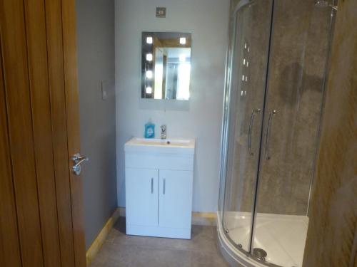 a bathroom with a shower and a sink and a mirror at Auchendennan Farm Self Catering Cottages in Balloch