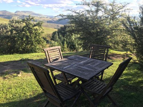 a wooden bench sitting in the middle of a grassy field at Over the Edge Cottage in Underberg