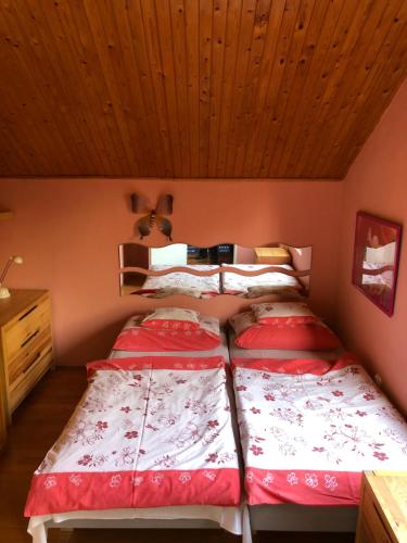 バラトンサールソーにあるTieffapartmanház Balatonszárszóの木製天井の小さな部屋のベッド2台