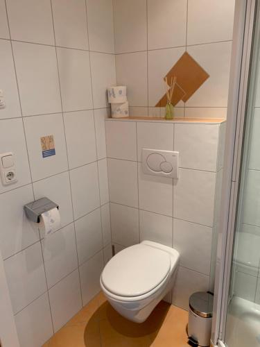 y baño pequeño con aseo y ducha. en Haus Helga en Lienz