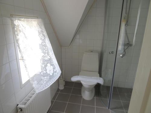 a small bathroom with a toilet and a shower at Ardrebo B&B in Ljugarn