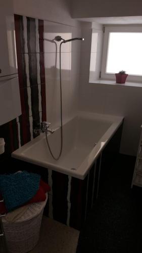 Apartman I Ubytovani v centru Jihlavy في جيهلافا: حوض استحمام مع دش في الحمام