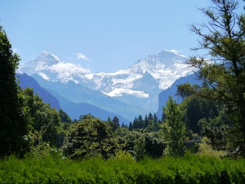 a view of a snow covered mountain from a forest at Chalet Maria Interlaken in Interlaken