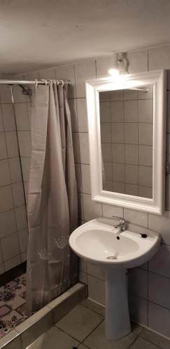 W łazience znajduje się umywalka, lustro i prysznic. w obiekcie Letnisko Ciechocinek w Ciechocinku