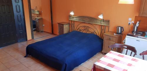 sypialnia z niebieskim łóżkiem i kuchnią w obiekcie Letnisko Ciechocinek w Ciechocinku