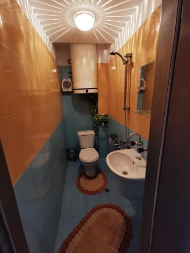 a small bathroom with a toilet and a sink at Villa Aqua in Pravets