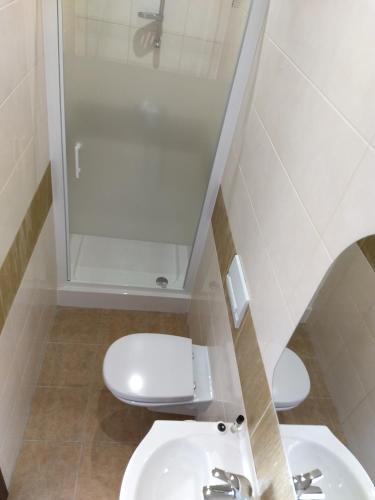 a bathroom with a toilet and a sink and a shower at Karczma Biesiadna in Dalnia