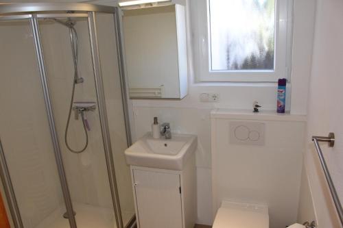 a bathroom with a shower and a sink and a toilet at Ferienwohnung 3 in Dahme
