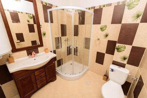 a bathroom with a shower and a toilet and a sink at Casa Sky in Orşova