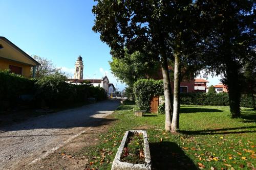 a tree sitting on the side of a road at Residenza La Dimora ImPerfetta in Salionze