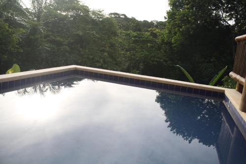 a swimming pool with a reflection in the water at Linda casa em Itacaré Bahia in Itacaré