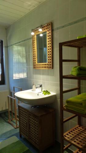 a bathroom with a sink and a mirror at Amselgarten in Lübben