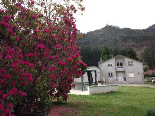 un arbusto con flores rosas delante de una casa en Finca El Remanso en Mondoñedo