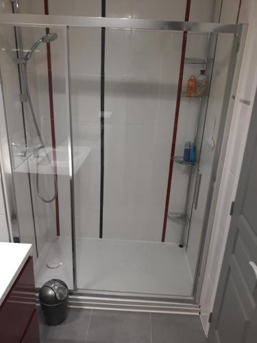 une douche avec une cabine en verre dans une salle de bain dans l'établissement Les Marronniers, à Troyes