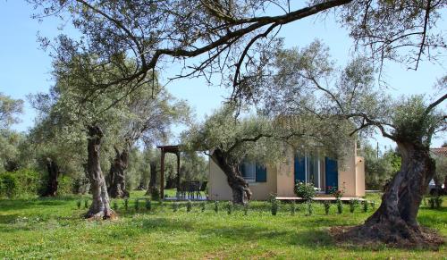 a house in the middle of a field with trees at Pamar Village in Lefkada Town