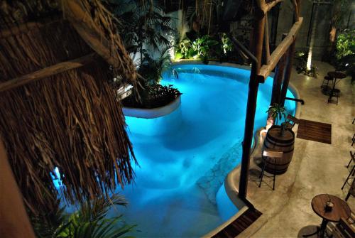 an overhead view of a swimming pool with plants at Hotel Boutique TerraNova in Tulum