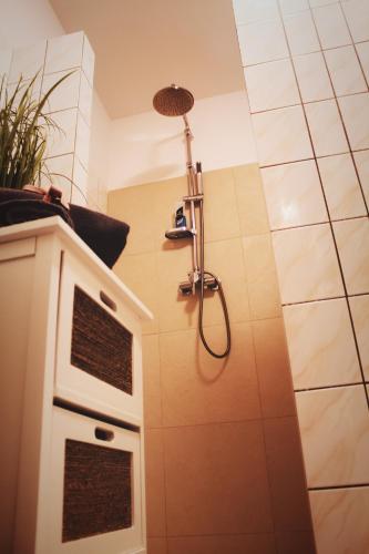 a shower with a shower head in a bathroom at Apartmány Caffe & Grill in Roudnice nad Labem