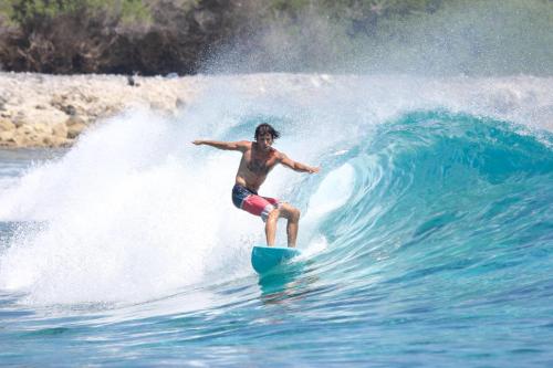 Clientes alojados en Molar Wave