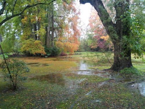 Villa Ocampo – Photos 3