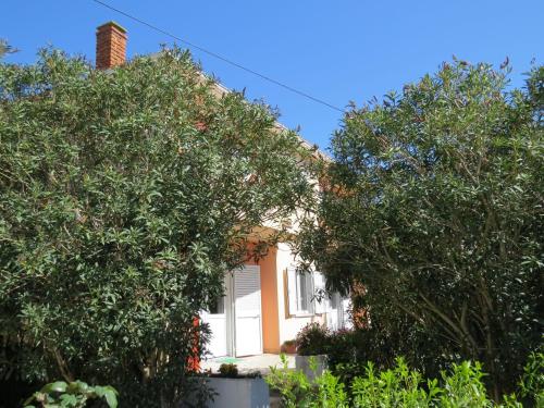 a house with two trees in front of it at Apartment and Rooms Amenka in Novalja
