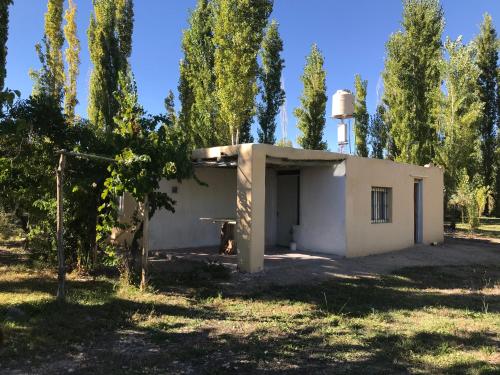 Calingasta