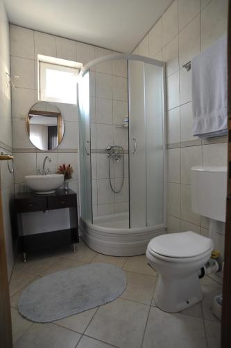a bathroom with a shower and a toilet and a sink at Apartments Izvor in Vrdnik