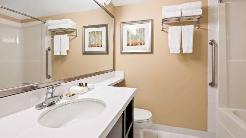 a bathroom with a sink and a toilet at Best Western Plus Winnipeg Airport Hotel in Winnipeg