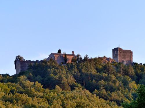 two castles on top of a hill with trees at La fontaine de rocoule in Rochefort-en-Valdaine