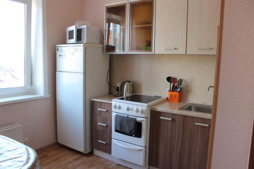 アルハンゲリスクにあるКвартира в центре Новгородский 113の小さなキッチン(白い冷蔵庫、シンク付)