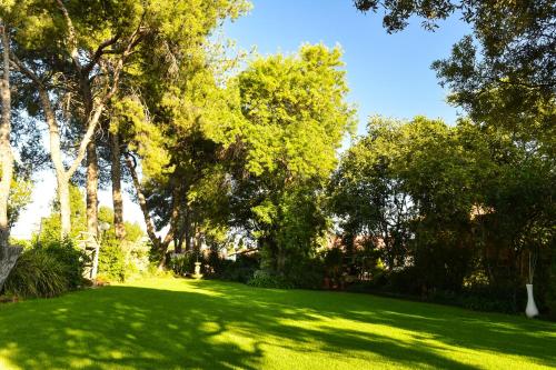 a lush green yard with trees and grass at CedarWoods of Sandton in Sandton