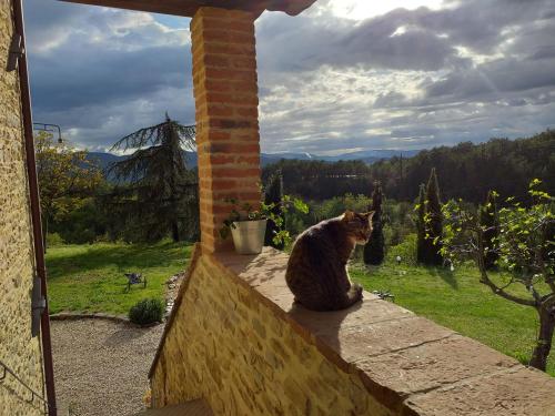 Huéspedes con una o varias mascotas en Le Terre di Caprano