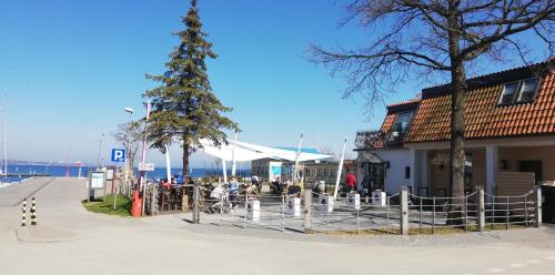a christmas tree on a sidewalk next to a building at Great Polonia Beach & Molo in Puck