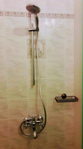 a shower with a shower head in a bathroom at Bloom Villa By the sea in Agia Pelagia