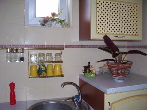 Dapur atau dapur kecil di Злоторія