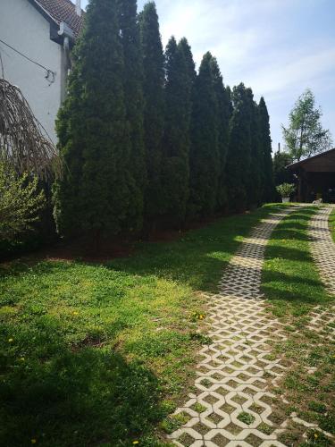 Κήπος έξω από το Bérc Apartman