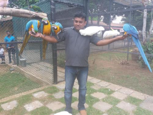 a man standing in front of a group of parrots at Amawin Resort in Hambantota