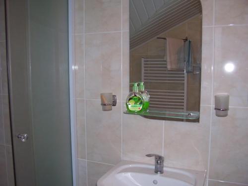 La salle de bains est pourvue d'un lavabo et d'un miroir. dans l'établissement Злоторія, à Moukatcheve