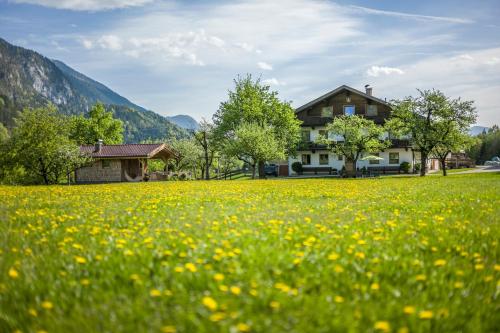un campo di fiori gialli di fronte a una casa di Windhaghof a Kramsach